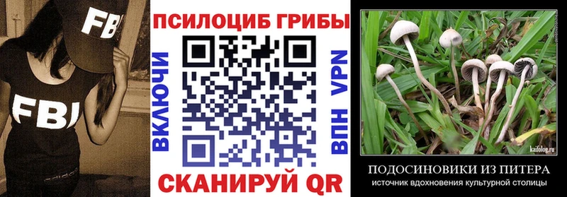 наркотики  Ряжск  Галлюциногенные грибы Cubensis 